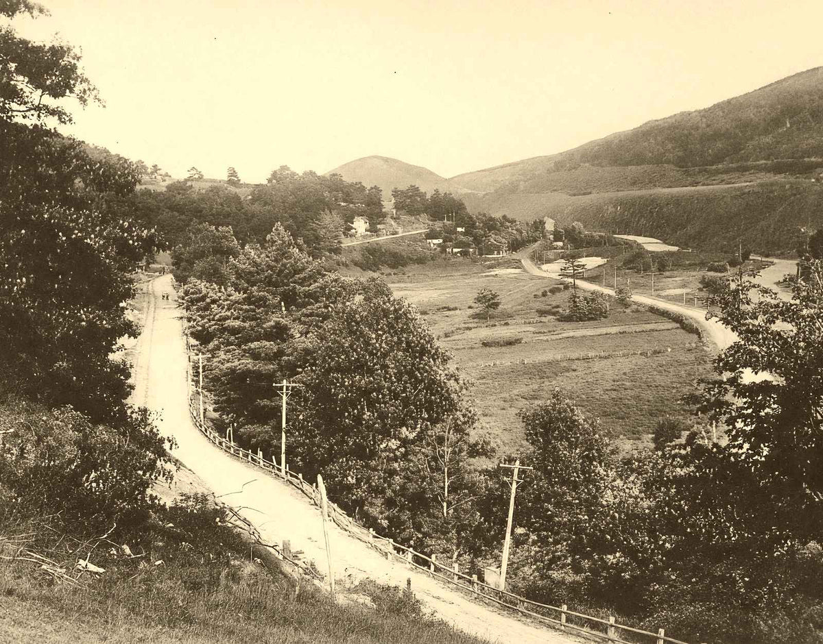 Homesville from Woodland Park, Ashland 1906 vintage photo print