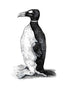 Wormius' Great Auk Drawn from Life, 1400s drawing print