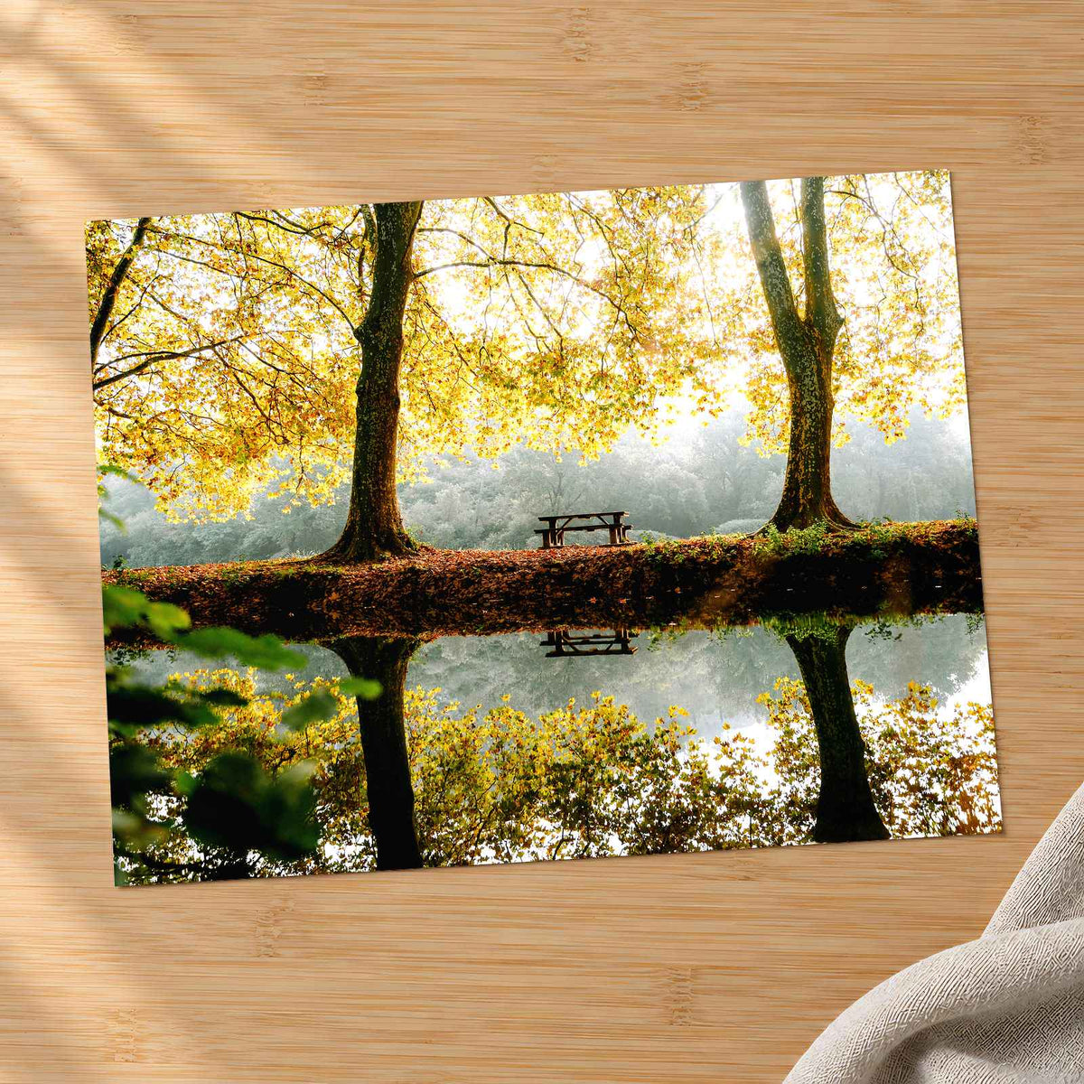 Trees, Lake and Bench on Reflecting Water by Mathieu Odin Photo Print Wall Decor