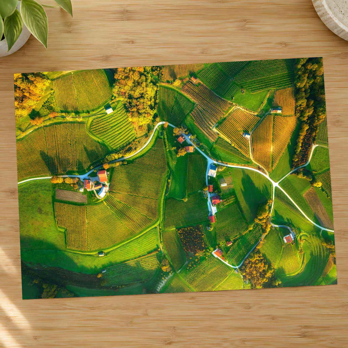 Vineyards from Above by Ales Krivec Photo Print Wall Decor