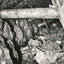 Randolph Shaft, Gold Hill, NC in 1905 photo print
