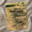 Water Buffalo, Okavango Delta, Botswana Photo Print Wall Decor