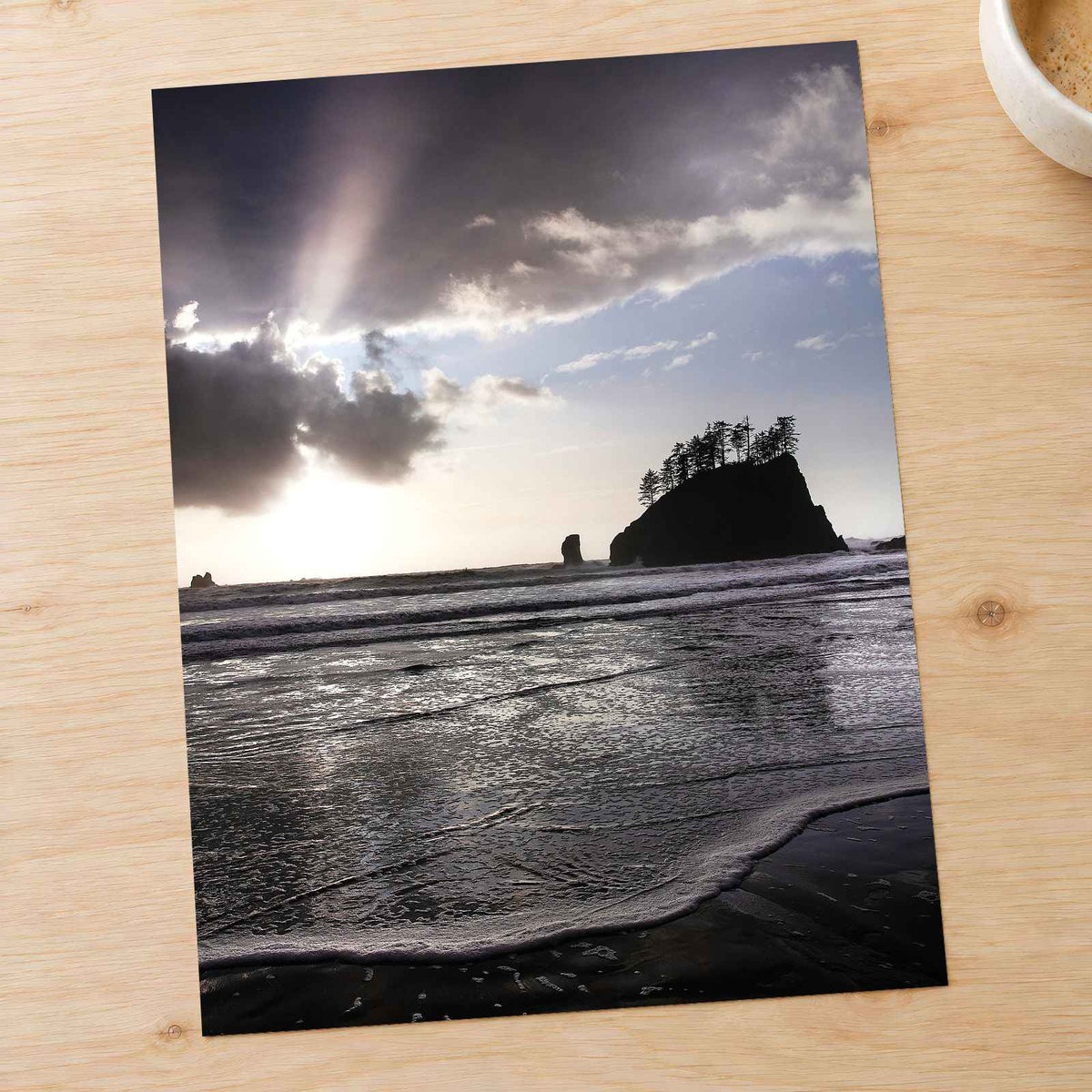 Beach in Olympic National Park by Joshua Earle Photo Print Wall Decor