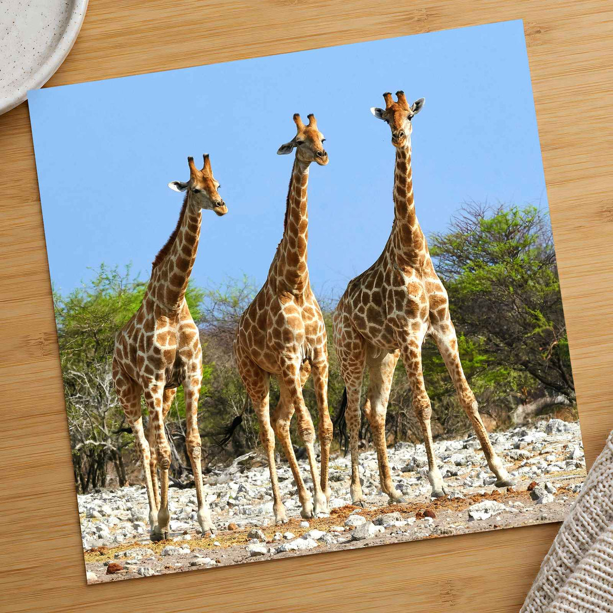 Three Giraffes in Etosha National Park Photo Print Wall Decor