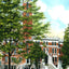 College Hall, Vanderbilt Univ, Nashville, TN vintage print