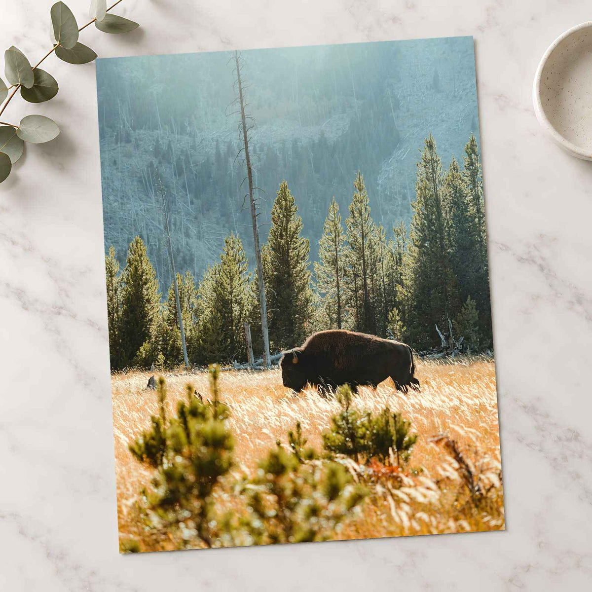 Buffalo Bison in Yellowstone, Wyoming by Joe Eitzen Photo Print Wall Decor
