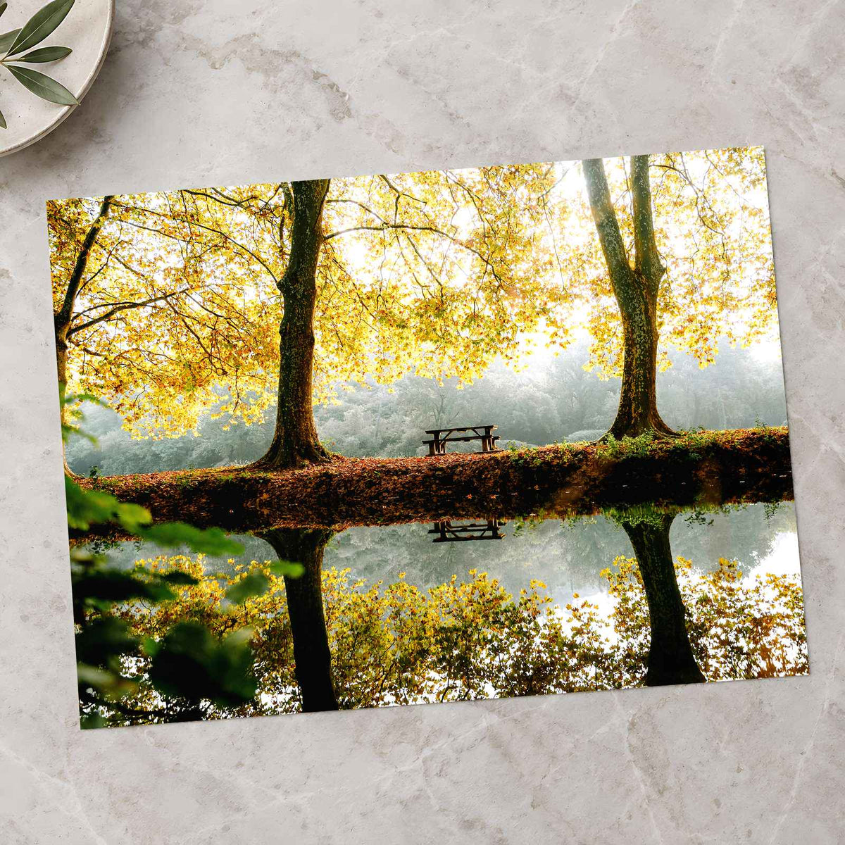 Trees, Lake and Bench on Reflecting Water by Mathieu Odin Photo Print Wall Decor