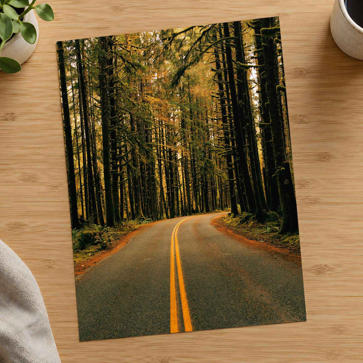 Hoh Rainforest Road, Olympic National Park by Hans Photo Print Wall Decor
