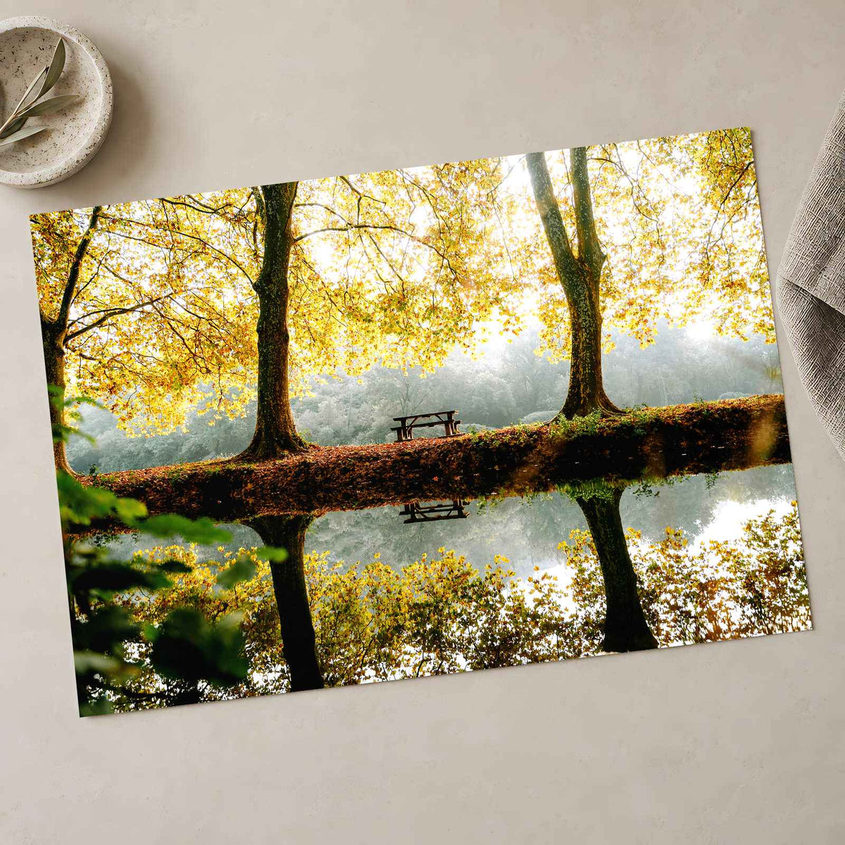 Trees, Lake and Bench on Reflecting Water by Mathieu Odin Photo Print Wall Decor