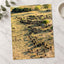 Water Buffalo, Okavango Delta, Botswana Photo Print Wall Decor