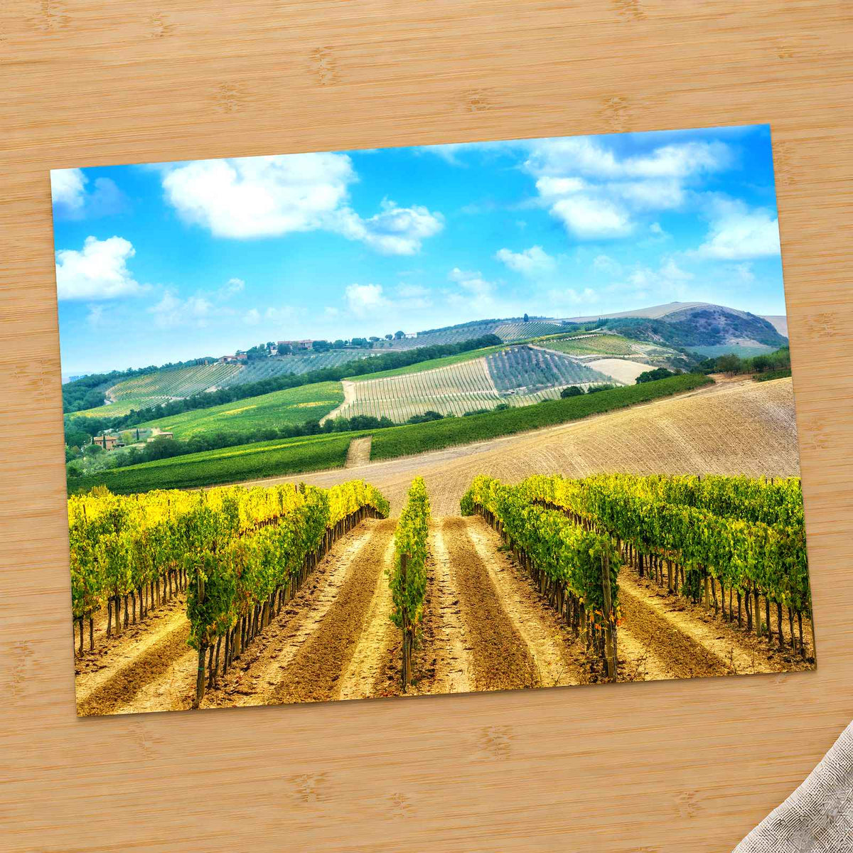 Vineyard in Tuscany, Italy Photo Print Wall Decor