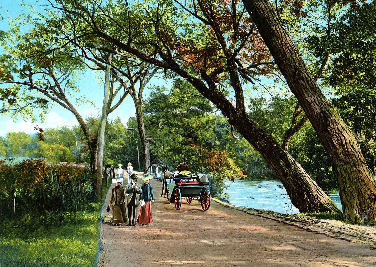 Lover's Bridge on the Swannanoa, Asheville vintage print