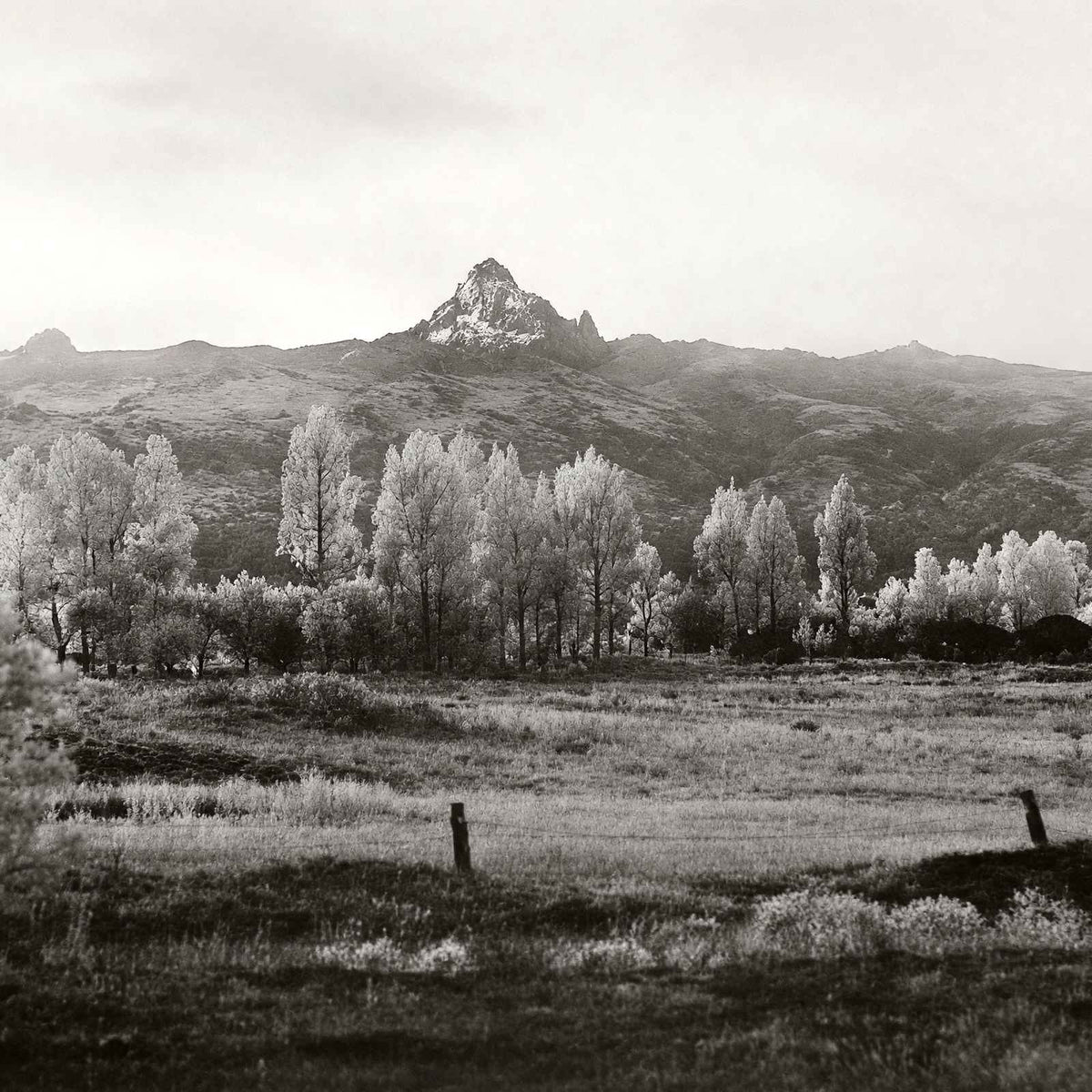 Mount Kenya from 40 Miles in 1937 restored photo print