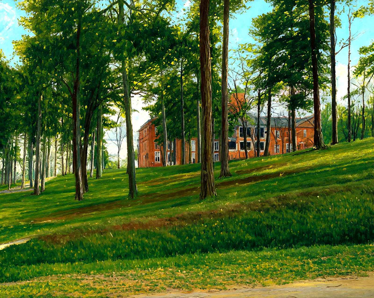 Female College, Greensboro, NC in 1906 art print