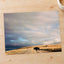 Buffalo Bison Crossing Road by Colin + Meg Photo Print Wall Decor