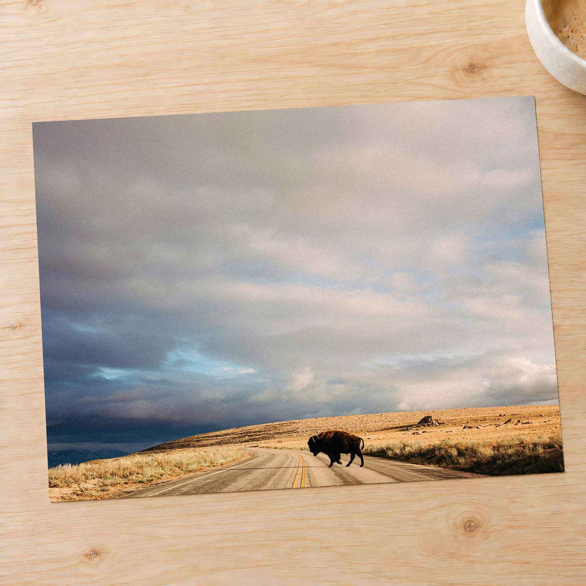 Buffalo Bison Crossing Road by Colin + Meg Photo Print Wall Decor