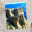 Grand Canyon in Arizona Photo Print Wall Decor