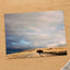 Buffalo Bison Crossing Road by Colin + Meg Photo Print Wall Decor