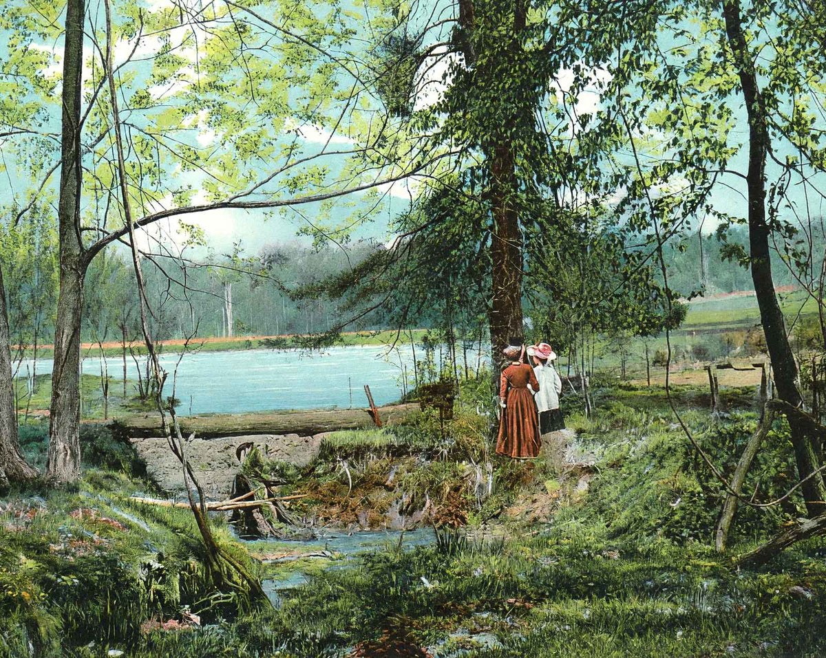 Swan Lake, Overton Park, Memphis, TN in 1905 vintage print
