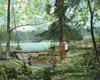 Swan Lake, Overton Park, Memphis, TN in 1905 vintage print