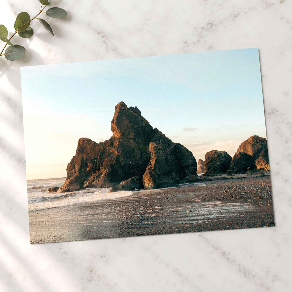 Ruby Beach in Washington by Hans Photo Print Wall Decor