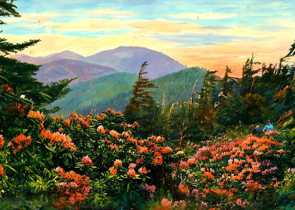 Mt Mitchell, Asheville, NC in 1906 art print