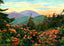 Mt Mitchell, Asheville, NC in 1906 art print