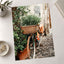 Flower Basket on Bicycle in Rome by Anita Austvika Photo Print Wall Decor
