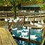 Duck Farm Pond, Allentown, PA in 1907 art print