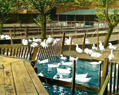 Duck Farm Pond, Allentown, PA in 1907 art print
