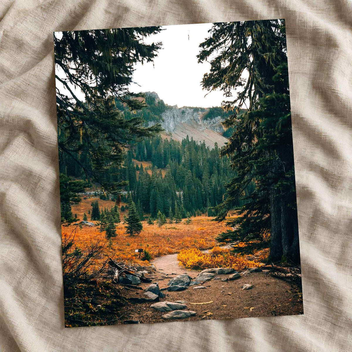 Mount Rainier National Park in Washington by Josh Hild Photo Print Wall Decor