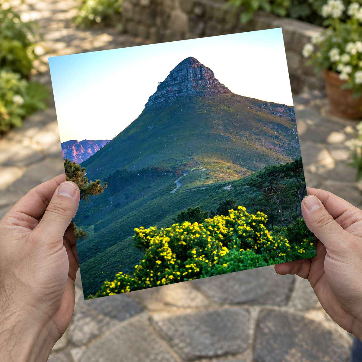 Signal Hill Sunset, Cape Town, South Africa Photo Print Wall Decor