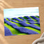 Lavendar Fields by Alex Shuper Photo Print Wall Decor