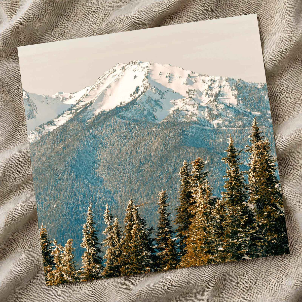 Snowy Mountain Peak Olympic National Park by Hans Photo Print Wall Decor