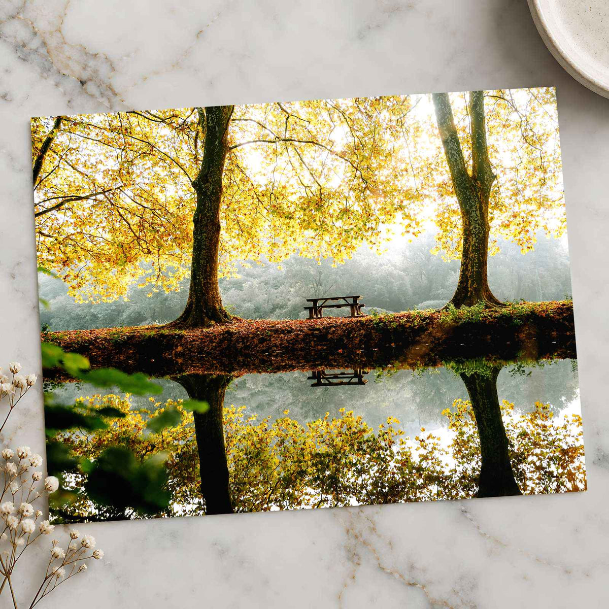 Trees, Lake and Bench on Reflecting Water by Mathieu Odin Photo Print Wall Decor