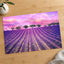Beautiful Lavender Field in France Photo Print Wall Decor