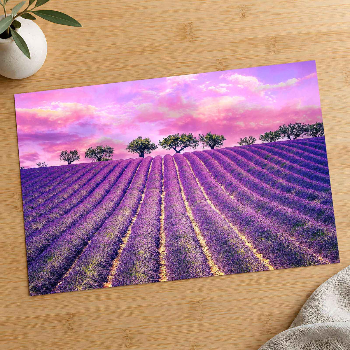 Beautiful Lavender Field in France Photo Print Wall Decor