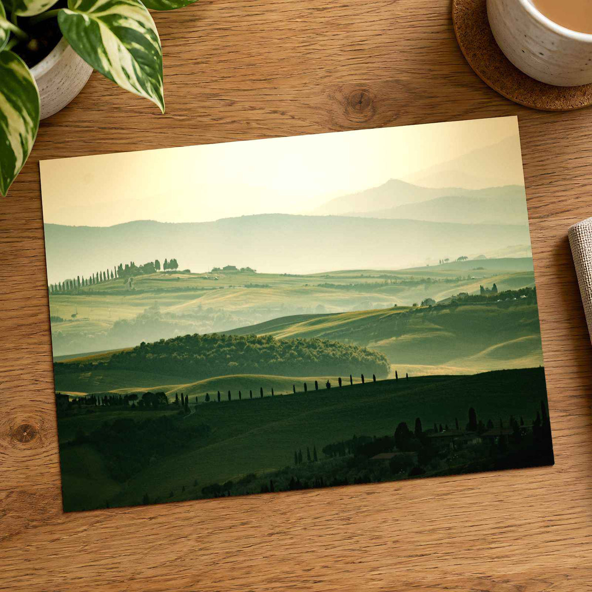 Vineyards in Tuscany, Italy by Sylwia Bartyzel Photo Print Wall Decor