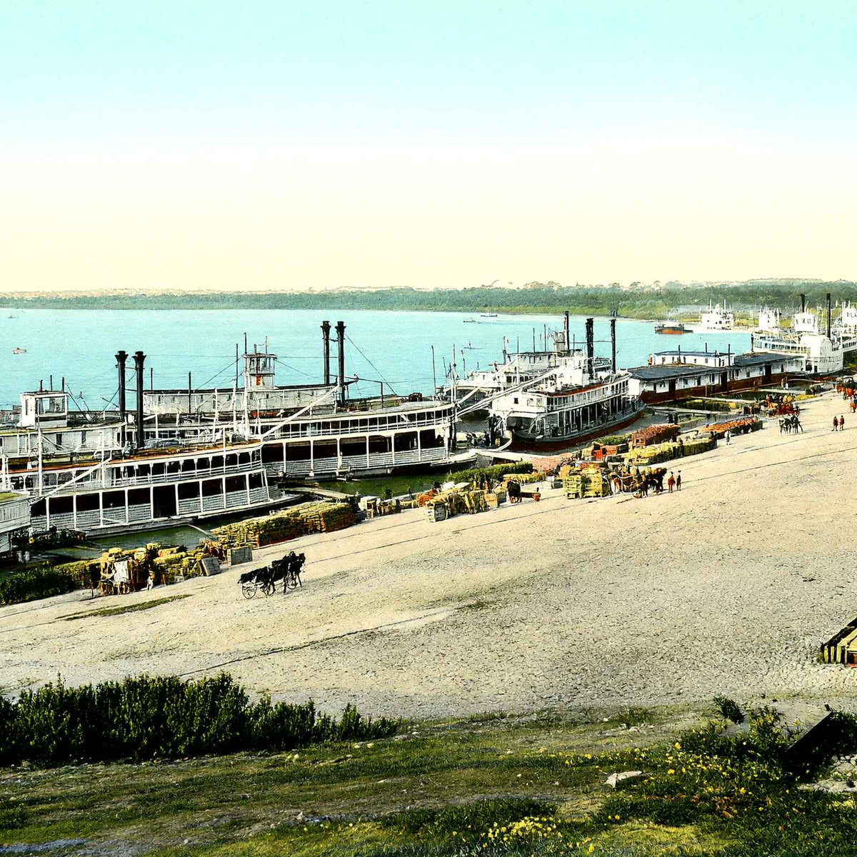 Memphis Wharf, Memphis, TN in 1905 vintage print