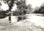 A Mountain Stream, Asheville NC in 1905 vintage print