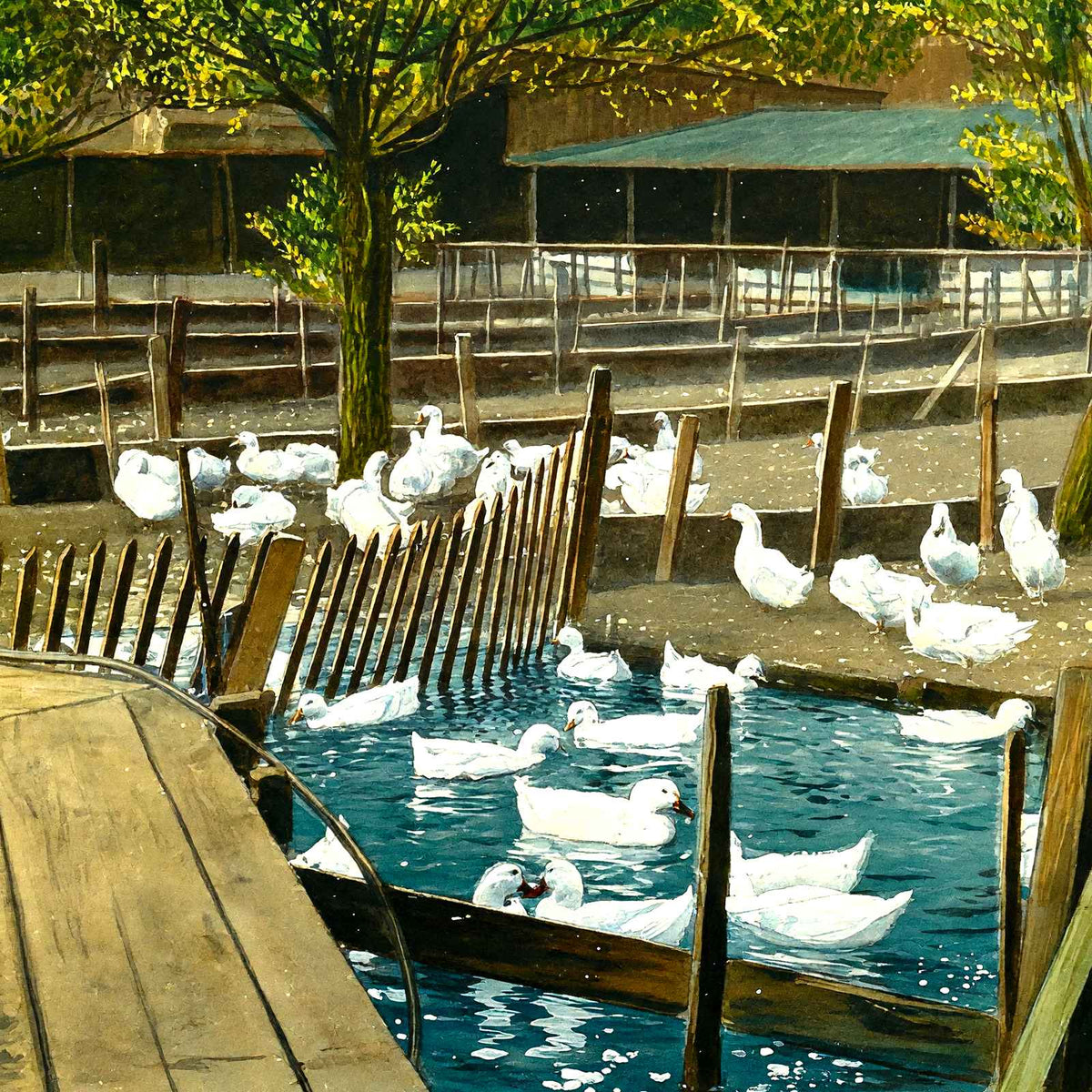 Duck Farm Pond, Allentown, PA in 1907 art print