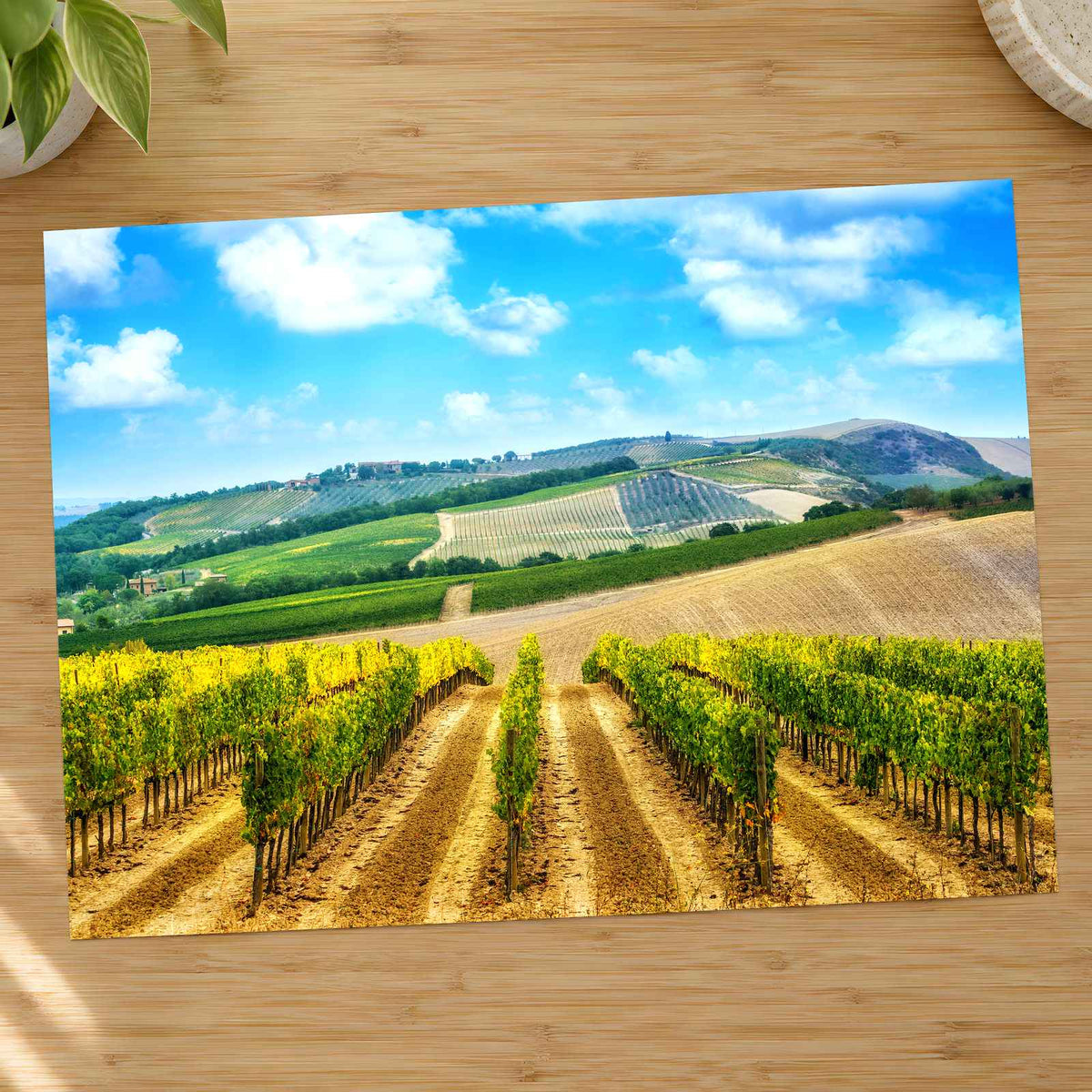 Vineyard in Tuscany, Italy Photo Print Wall Decor