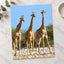 Three Giraffes in Etosha National Park Photo Print Wall Decor
