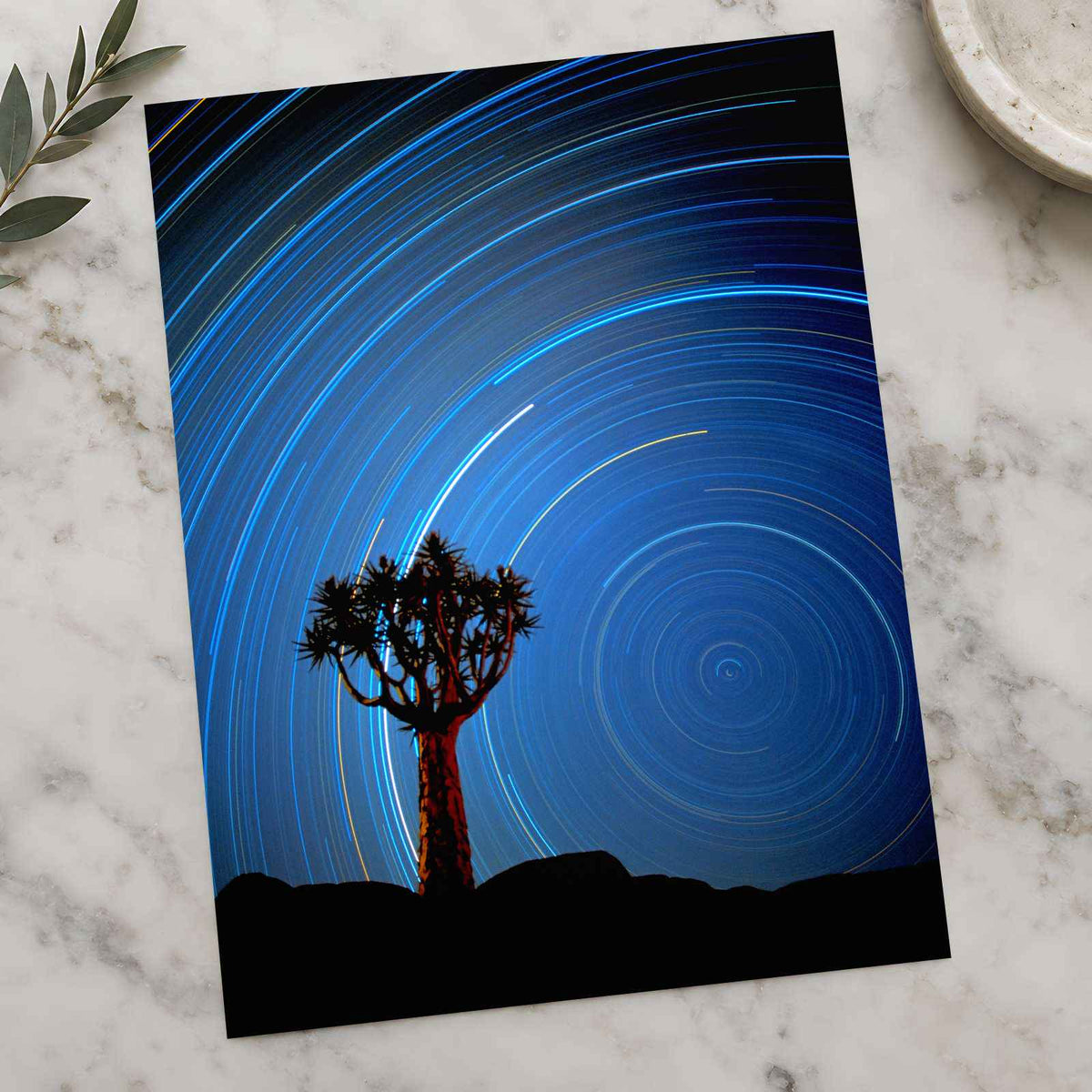 Joshua Tree with Spinning Stars Exposure Photo Print Wall Decor