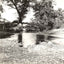 A Mountain Stream, Asheville NC in 1905 vintage print