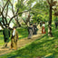 Path by the Lake, Lakewood, NJ in 1905 painting