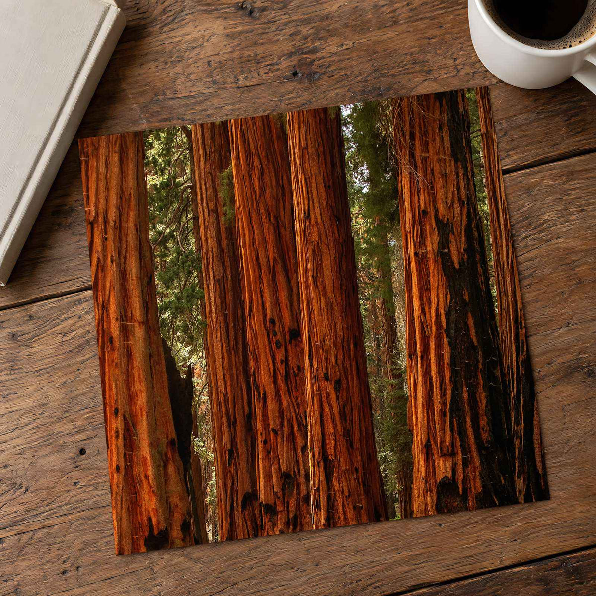 Sequoia National Park in California Photo Print Wall Decor