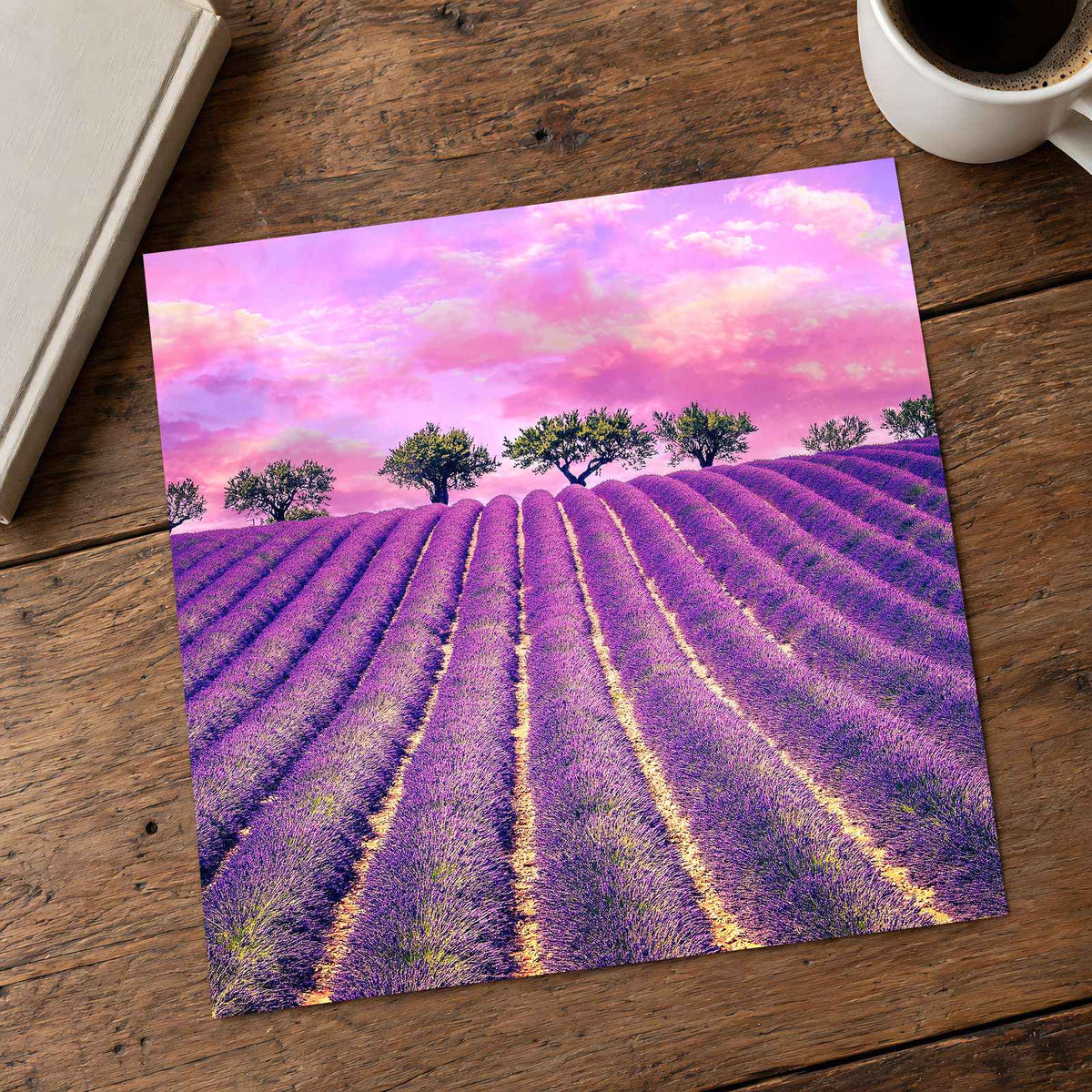 Beautiful Lavender Field in France Photo Print Wall Decor