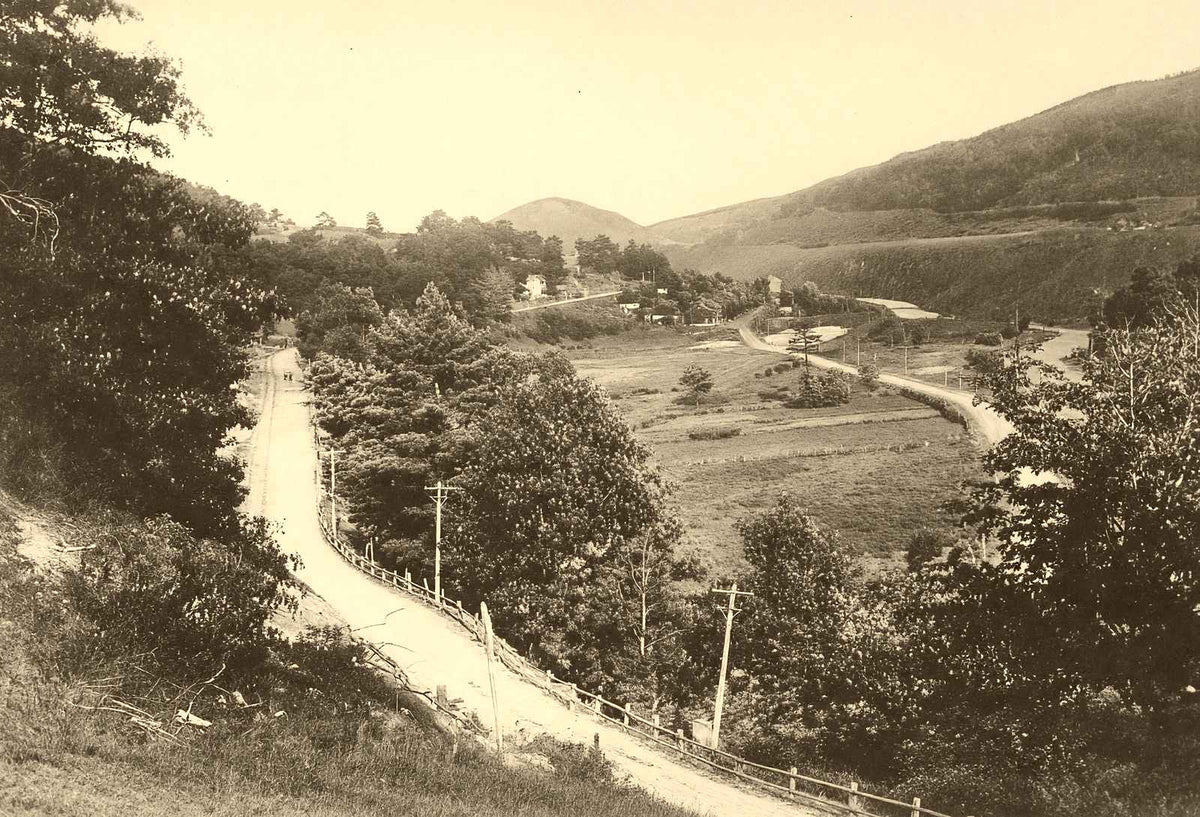 Homesville from Woodland Park, Ashland 1906 vintage photo print