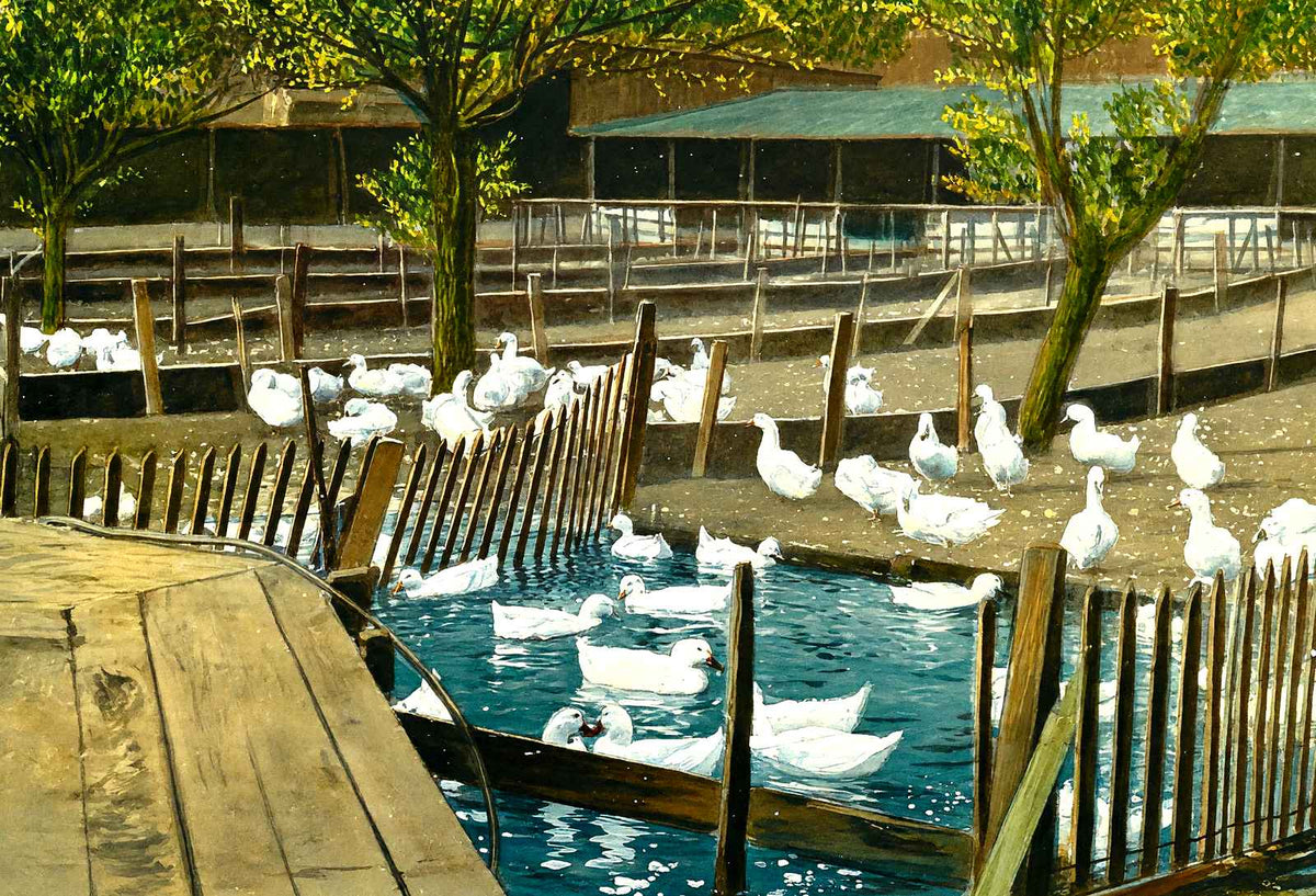 Duck Farm Pond, Allentown, PA in 1907 art print
